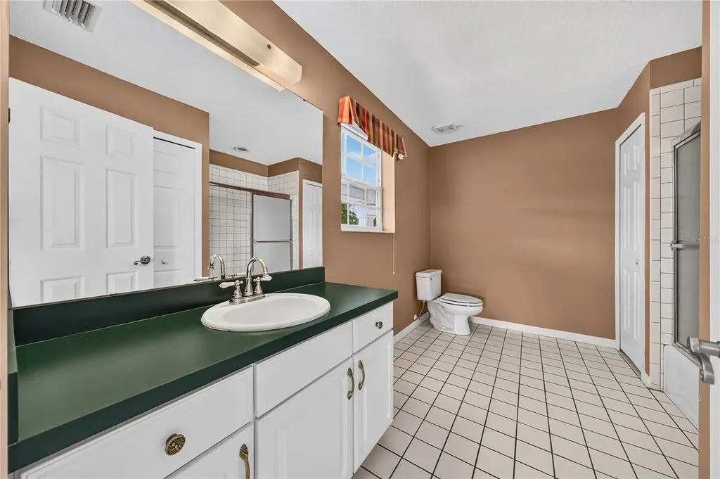 7219 Chesterhill Circle Mount Dora FL 32757