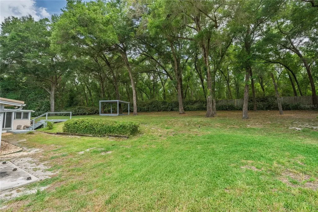 7219 Chesterhill Circle Mount Dora FL 32757