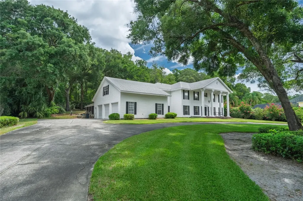 7219 Chesterhill Circle Mount Dora FL 32757