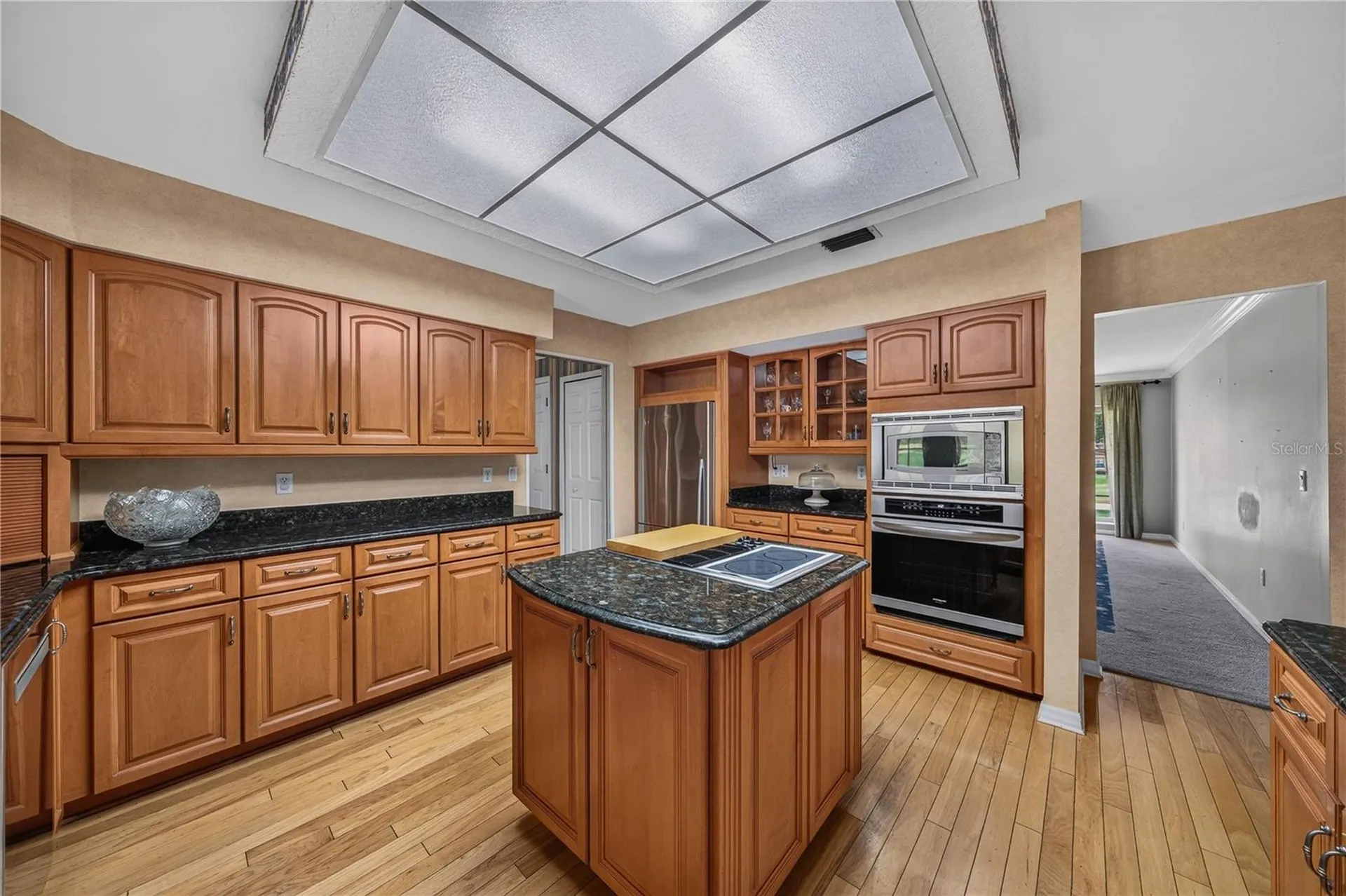 7219 Chesterhill Circle Mount Dora FL 32757