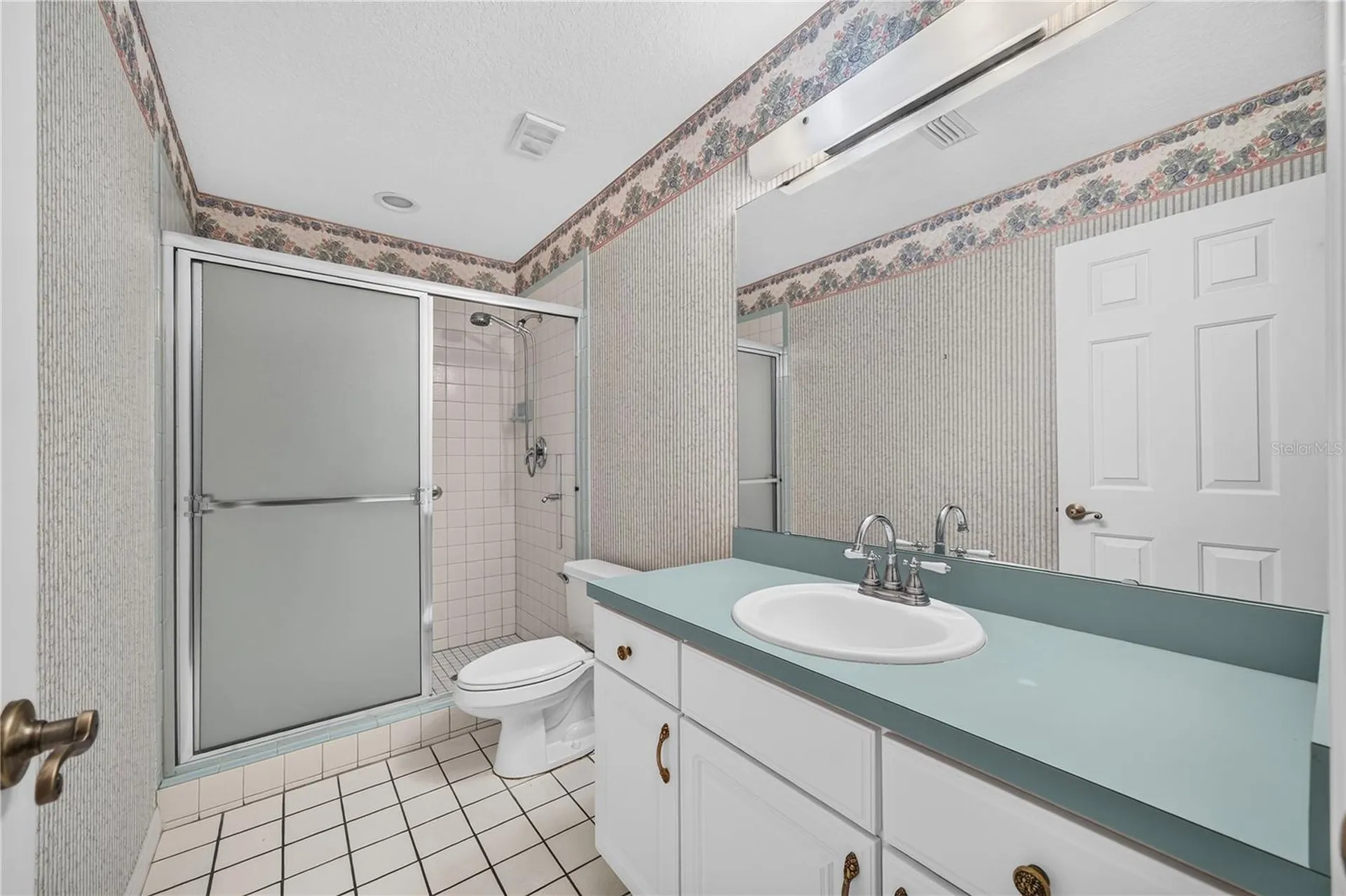 7219 Chesterhill Circle Mount Dora FL 32757