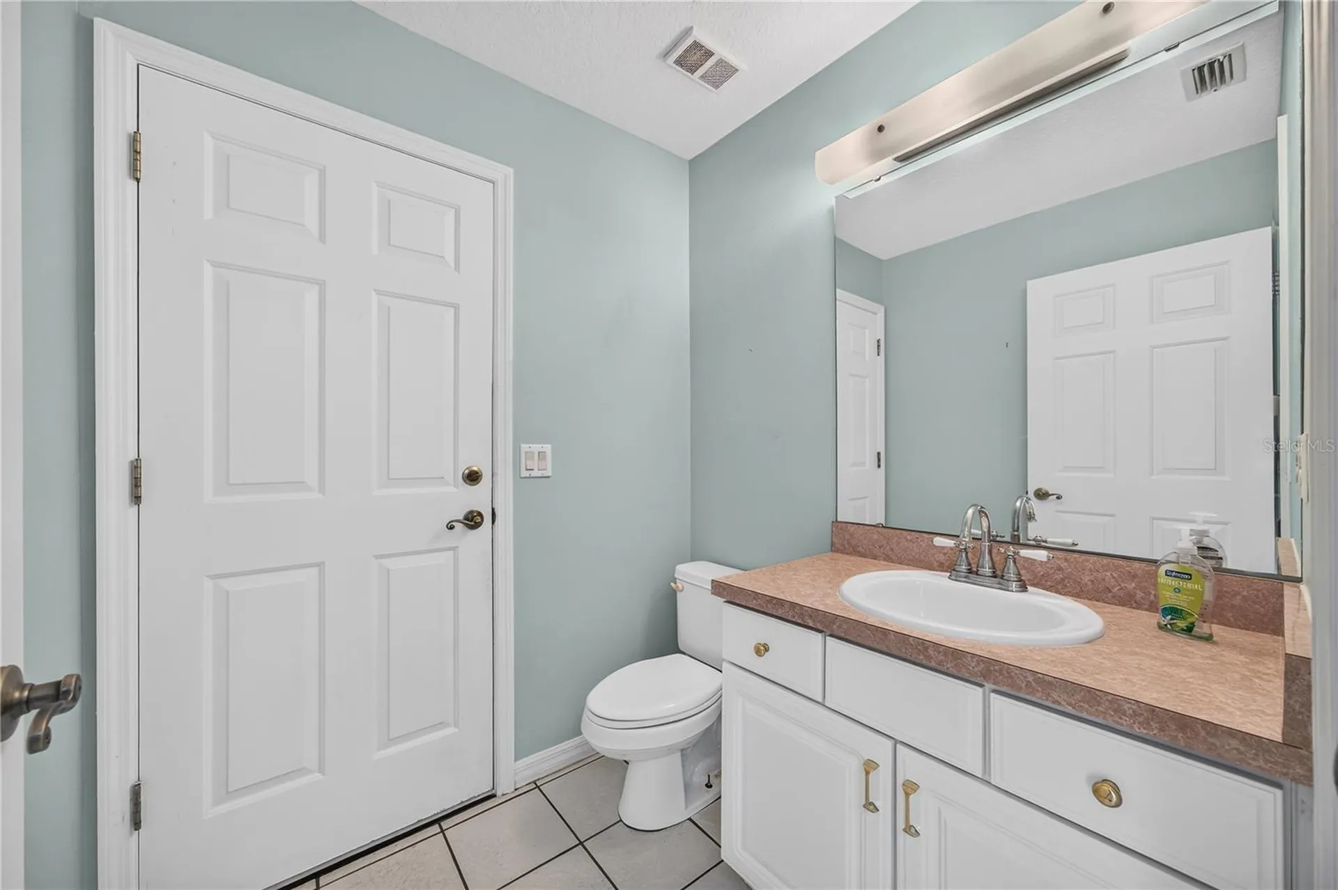 7219 Chesterhill Circle Mount Dora FL 32757