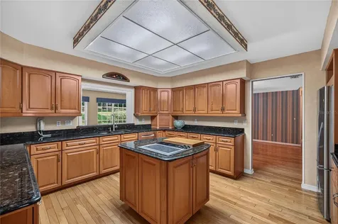 7219 Chesterhill Circle Mount Dora FL 32757