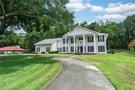 7219 Chesterhill Circle Mount Dora FL 32757