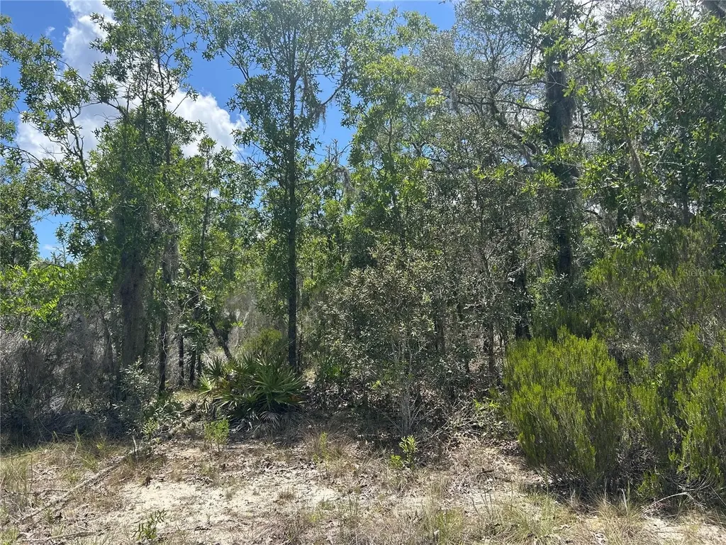 NE 101st Terrace Archer FL 32618