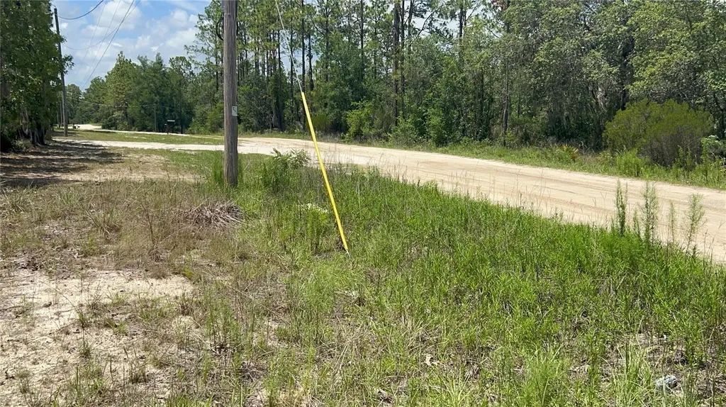 NE 101st Terrace Archer FL 32618