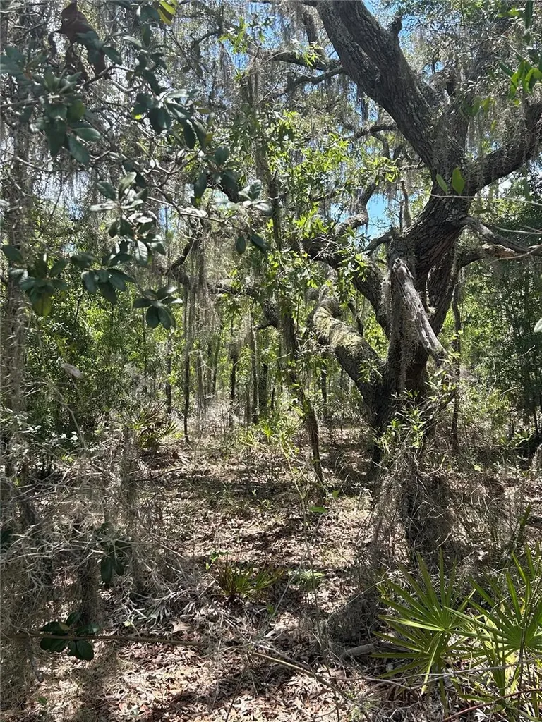 NE 101st Terrace Archer FL 32618