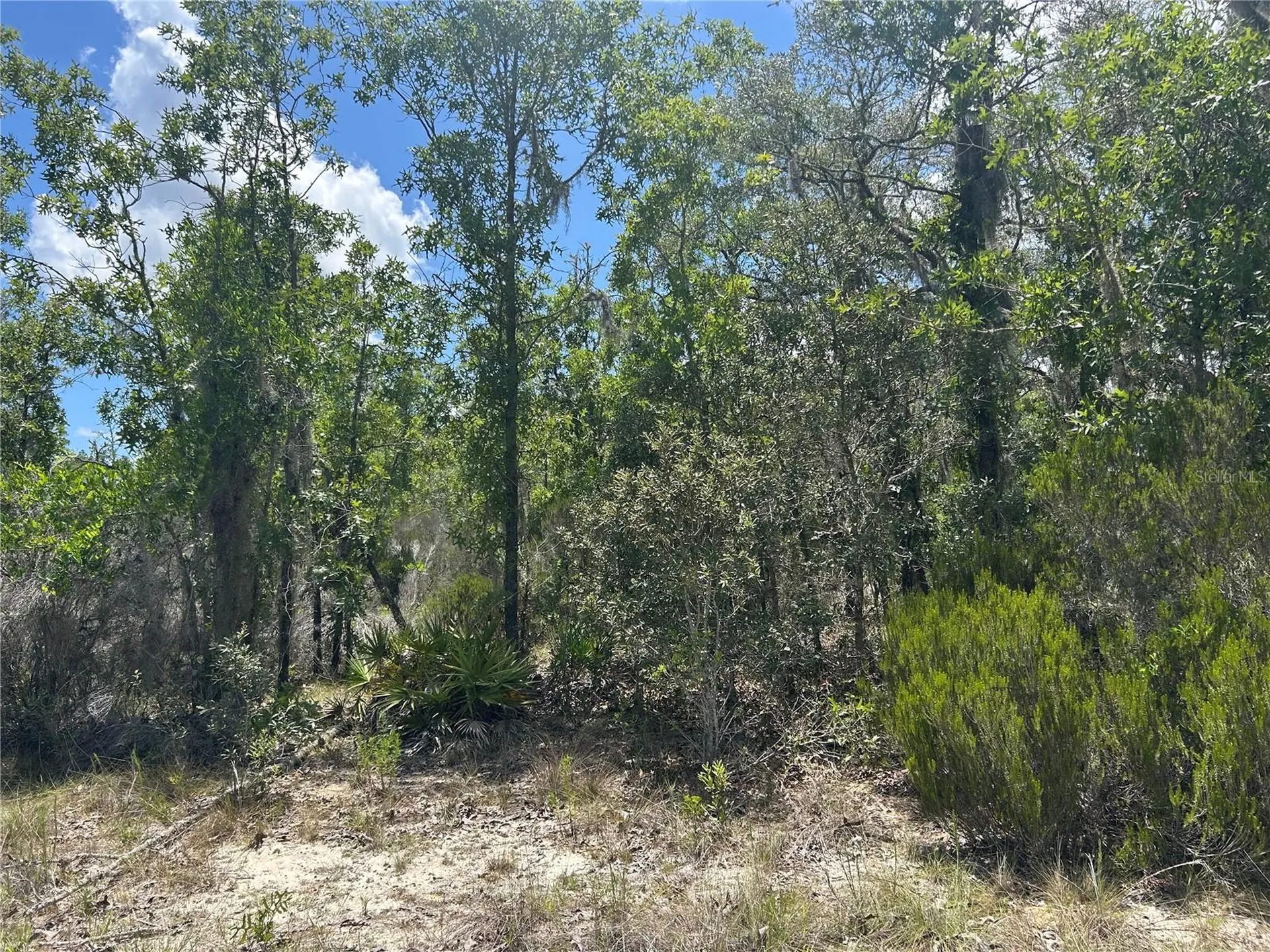 NE 101st Terrace Archer FL 32618