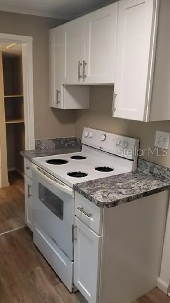 317 E Tarpon Avenue Tarpon Springs FL 34689