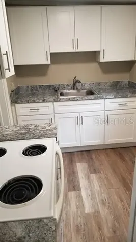 317 E Tarpon Avenue Tarpon Springs FL 34689