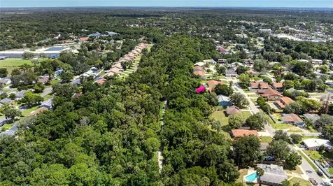 51 Sandpiper Circle Ormond Beach FL 32174