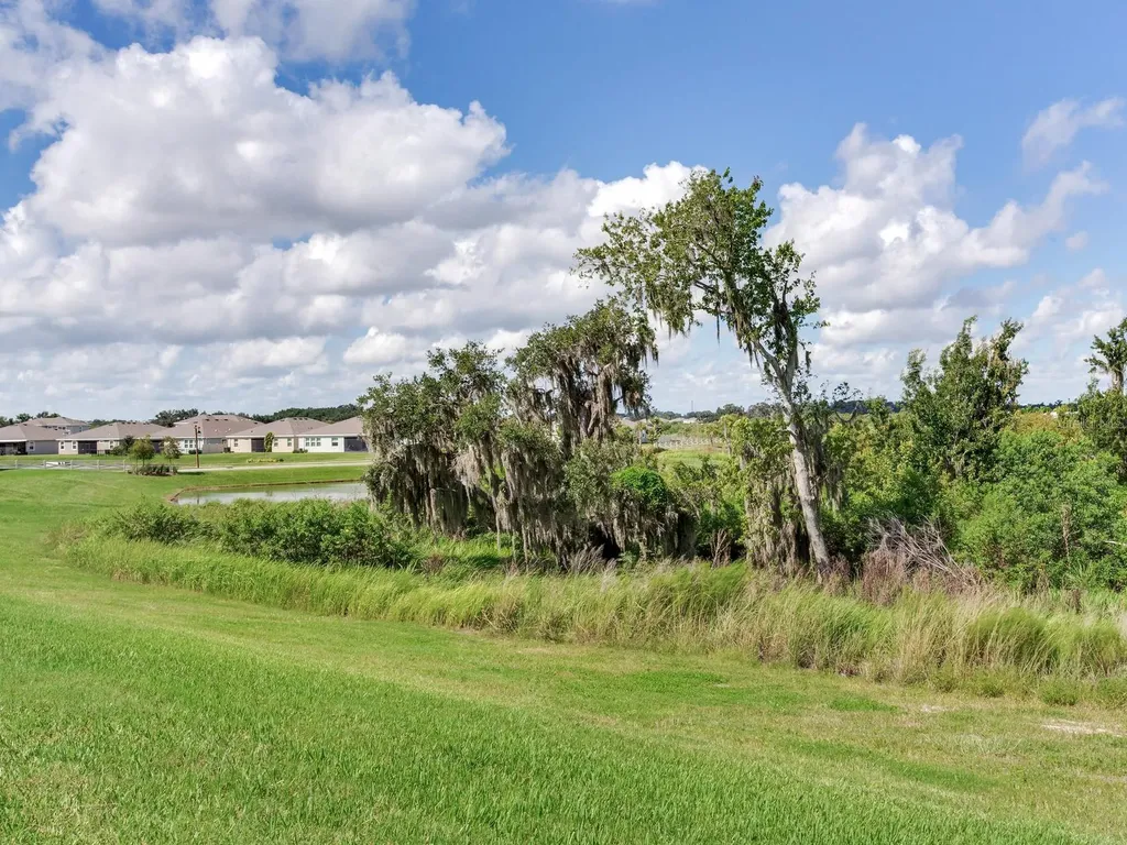 3723 Stormy Thistle Place Plant City FL 33565