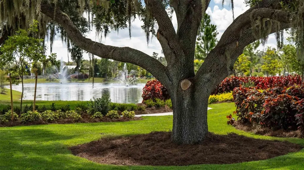 3723 Stormy Thistle Place Plant City FL 33565