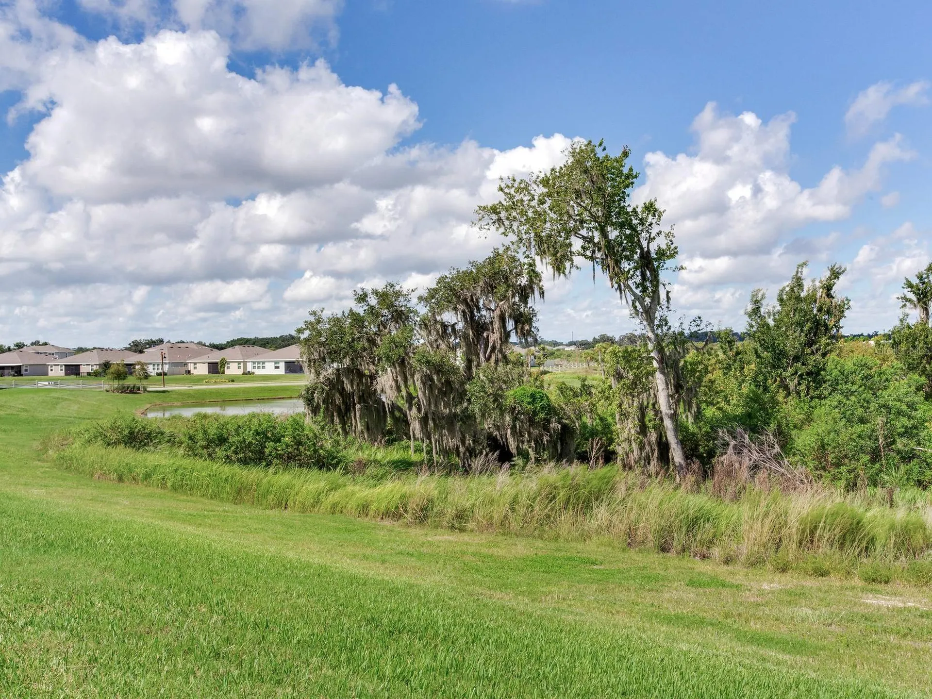 3723 Stormy Thistle Place Plant City FL 33565