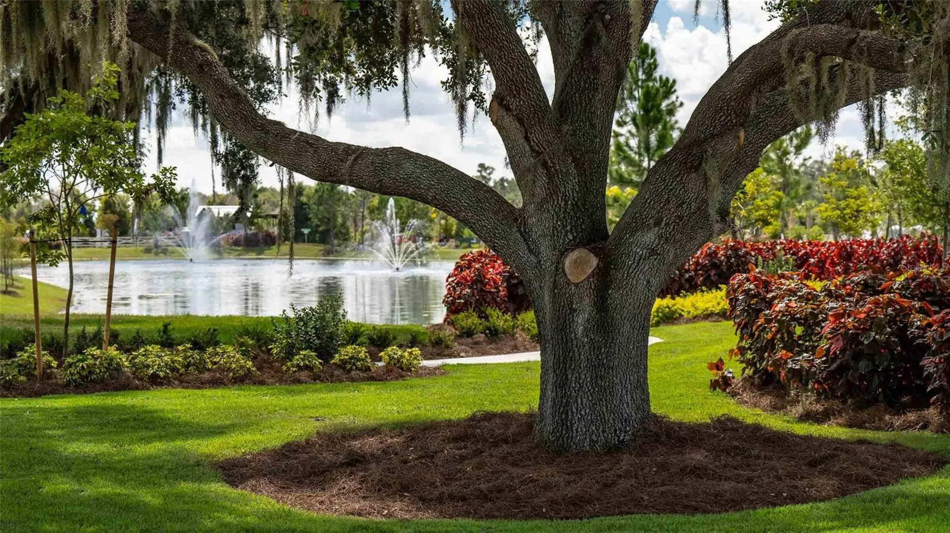 3723 Stormy Thistle Place Plant City FL 33565