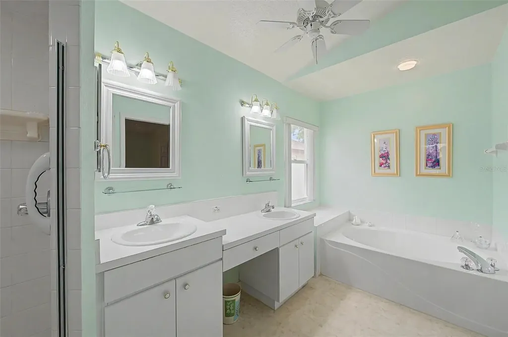 29641 Fog Hollow Drive Wesley Chapel FL 33543