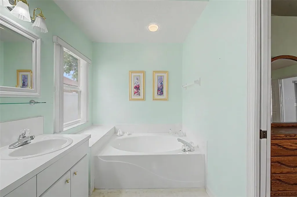 29641 Fog Hollow Drive Wesley Chapel FL 33543