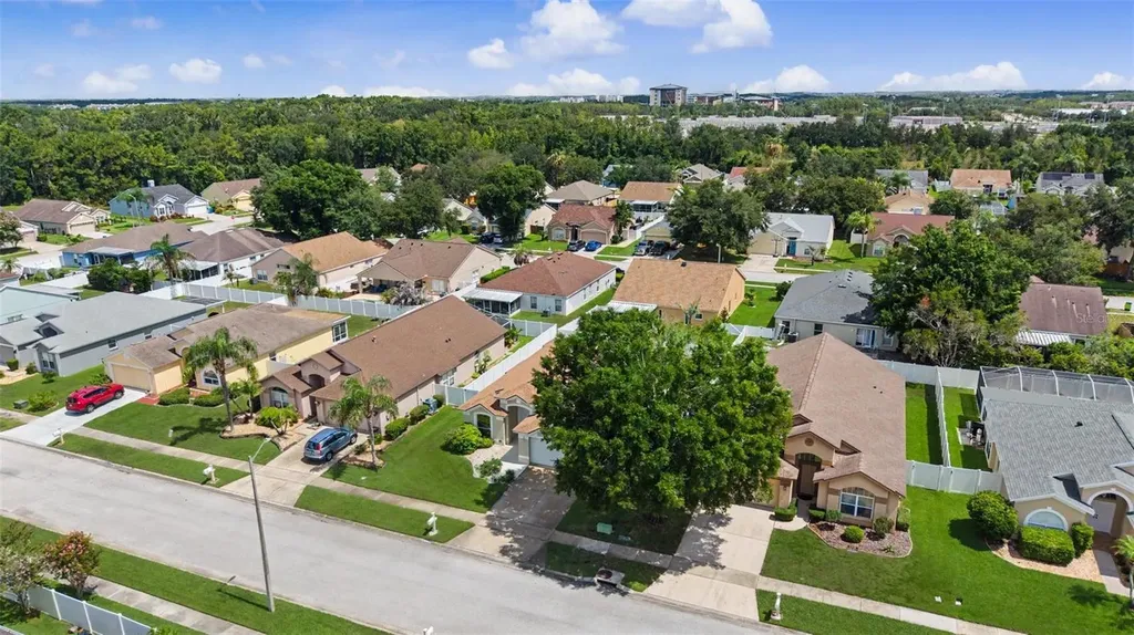 29641 Fog Hollow Drive Wesley Chapel FL 33543