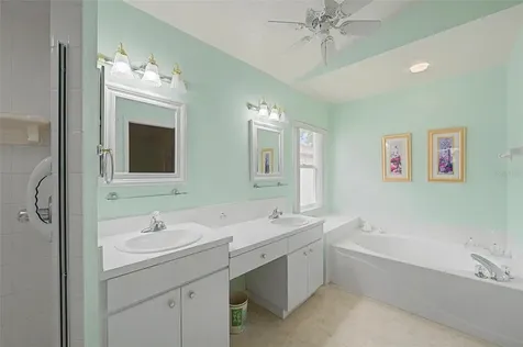 29641 Fog Hollow Drive Wesley Chapel FL 33543