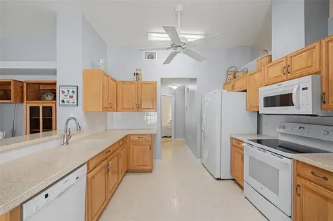 29641 Fog Hollow Drive Wesley Chapel FL 33543