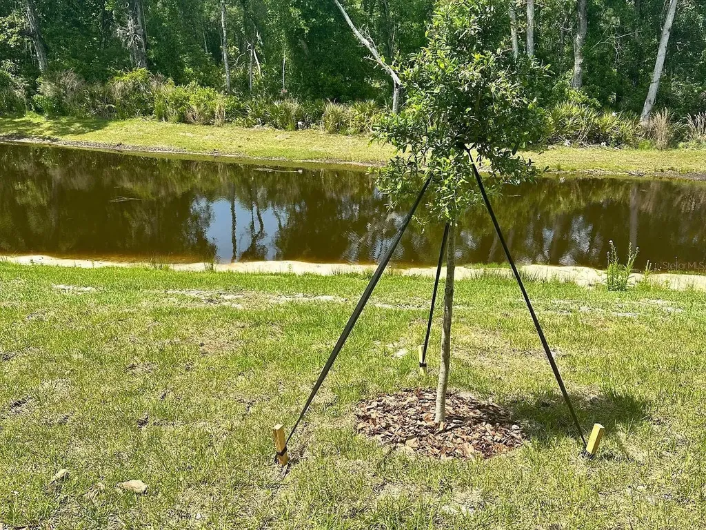 17649 Nectar Flume Drive Land O Lakes FL 34638