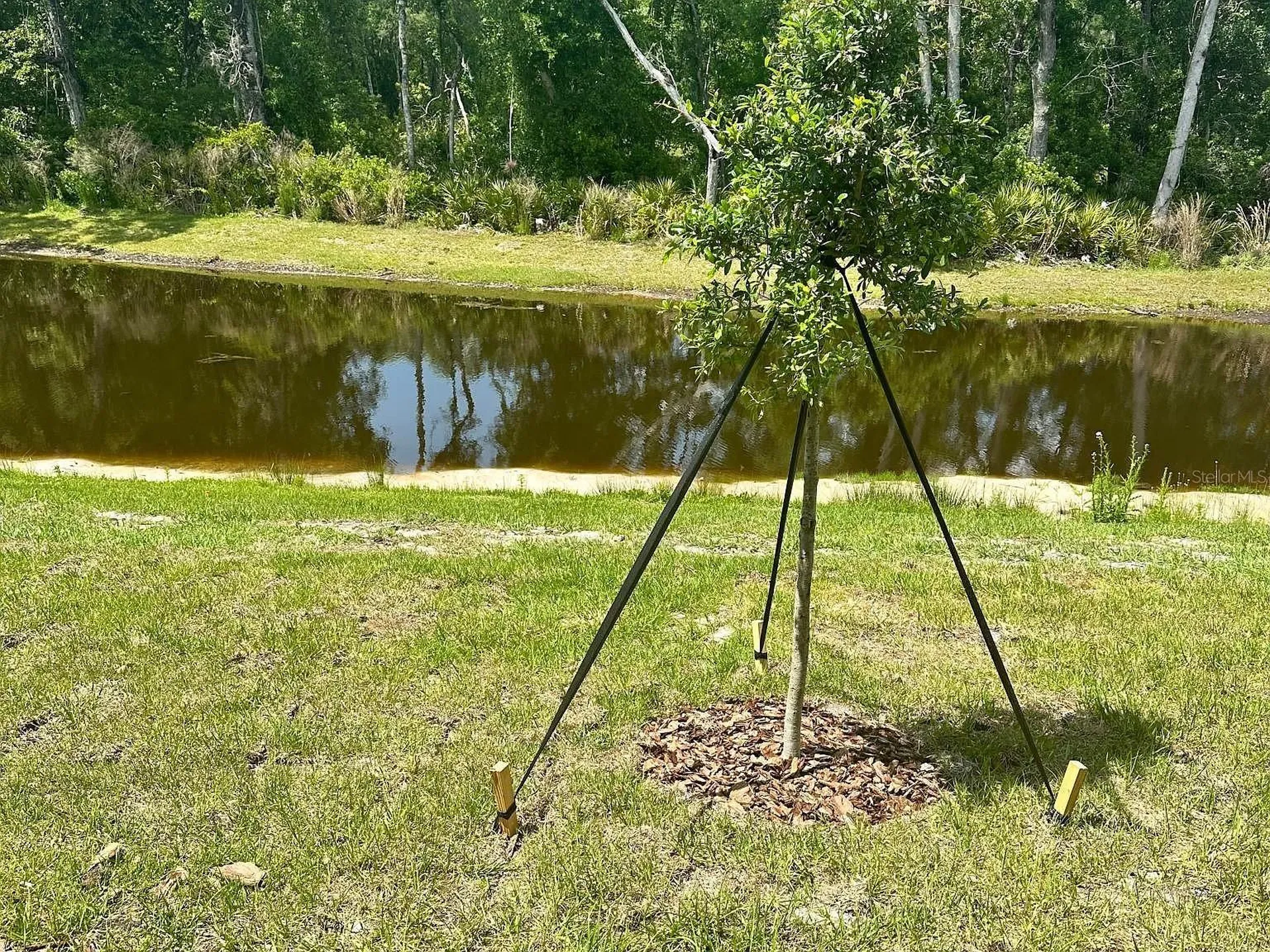 17649 Nectar Flume Drive Land O Lakes FL 34638
