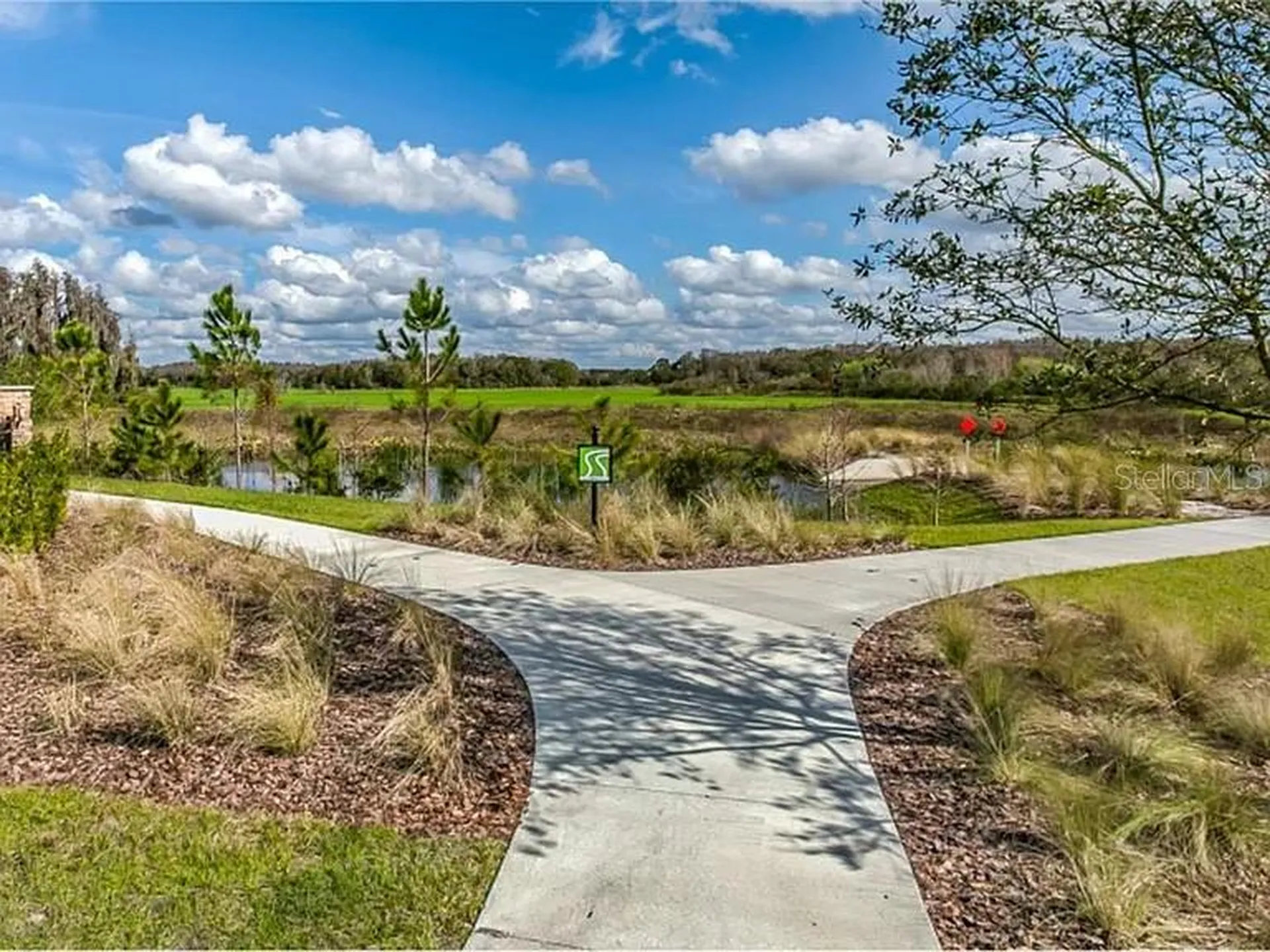 17649 Nectar Flume Drive Land O Lakes FL 34638