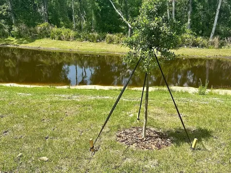 17649 Nectar Flume Drive Land O Lakes FL 34638