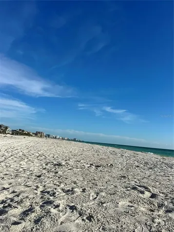 880 Mandalay Avenue Clearwater FL 33767