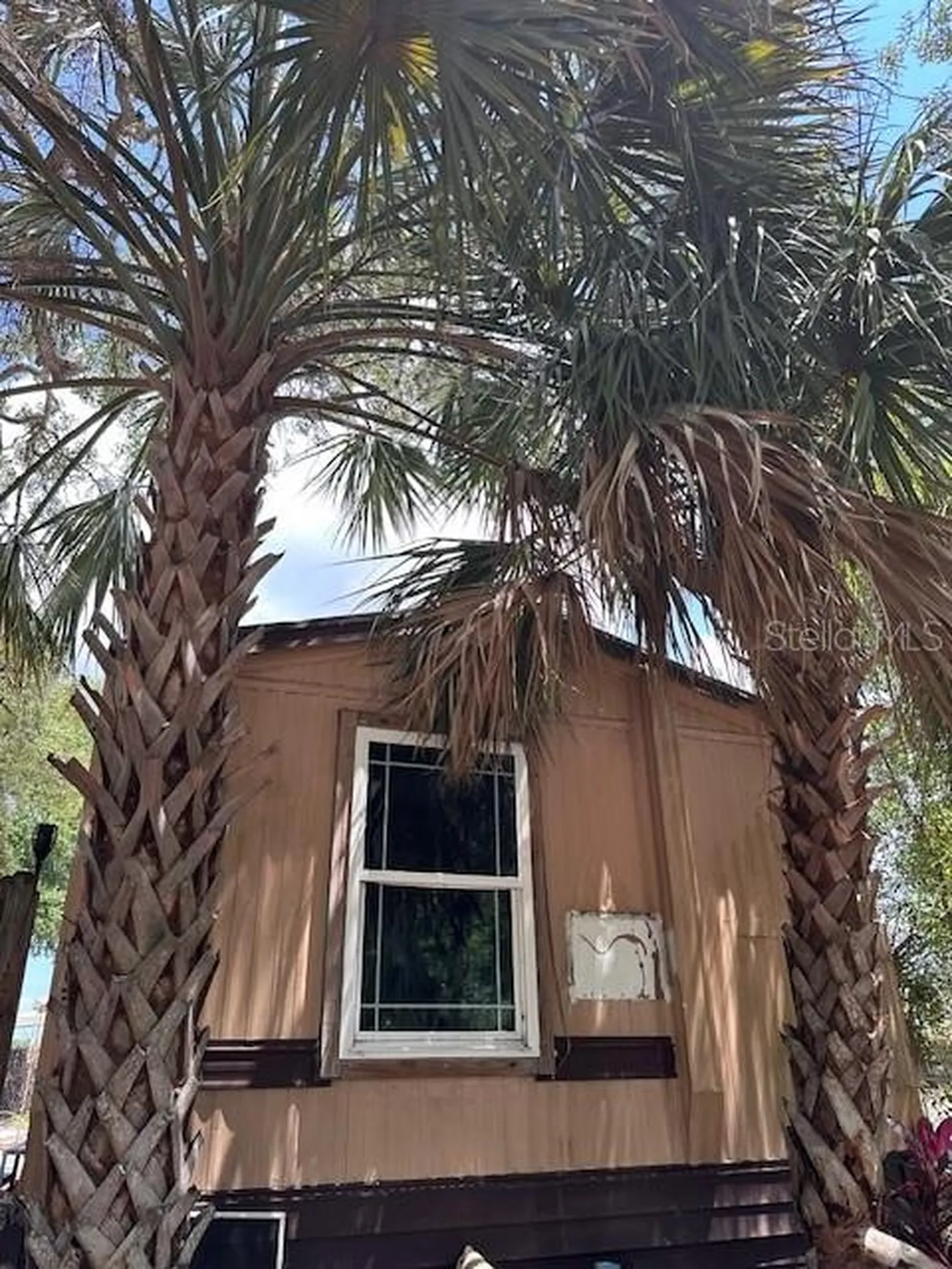 6631 Celeste Lane New Port Richey FL 34653