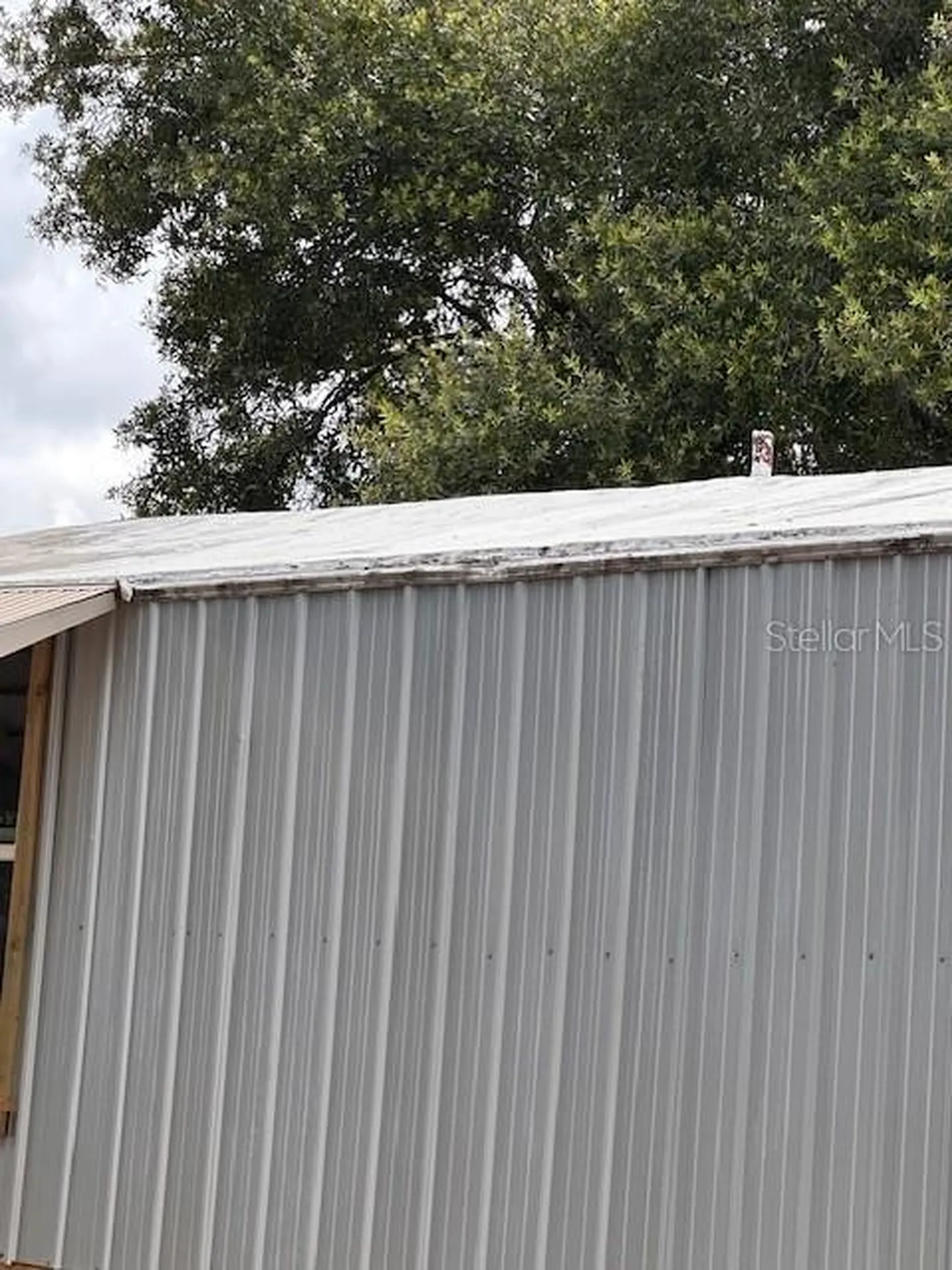 6631 Celeste Lane New Port Richey FL 34653
