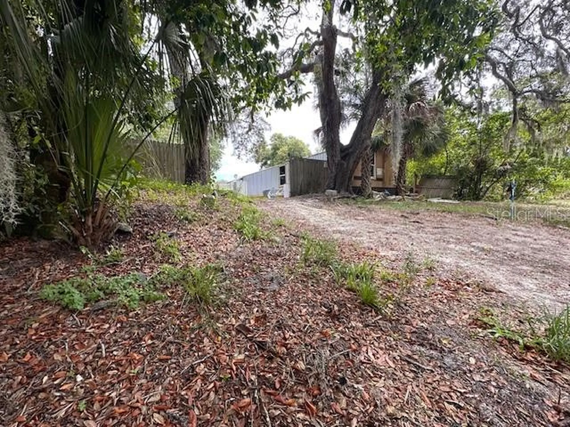 6631 Celeste Lane New Port Richey FL 34653