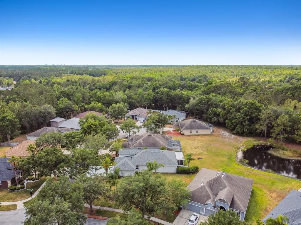 8208 Pinewood Run Court Tampa FL 33647