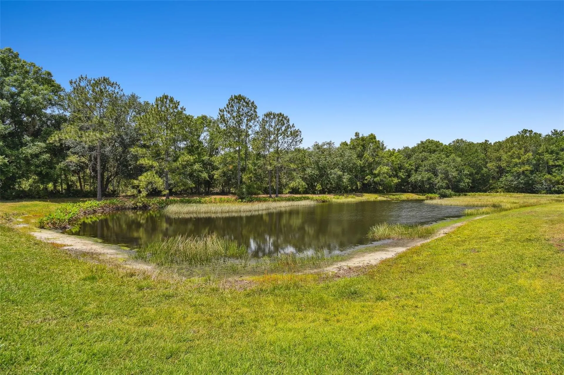 8208 Pinewood Run Court Tampa FL 33647