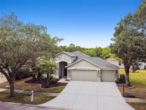 8208 Pinewood Run Court Tampa FL 33647