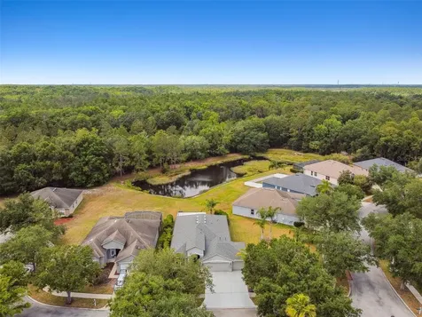 8208 Pinewood Run Court Tampa FL 33647