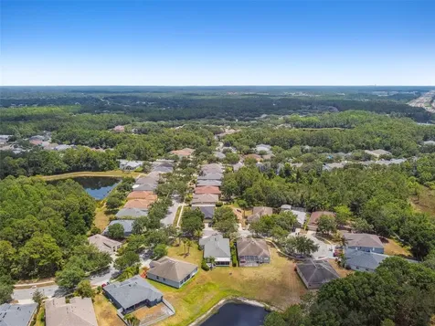 8208 Pinewood Run Court Tampa FL 33647