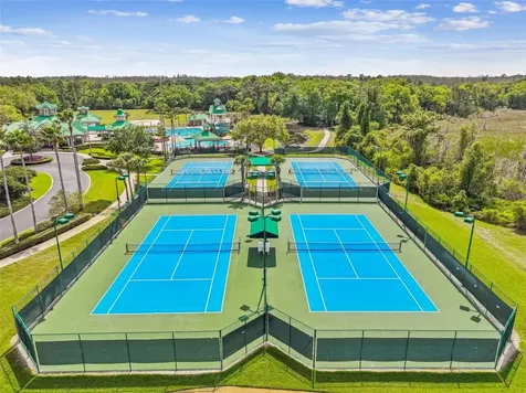 8208 Pinewood Run Court Tampa FL 33647