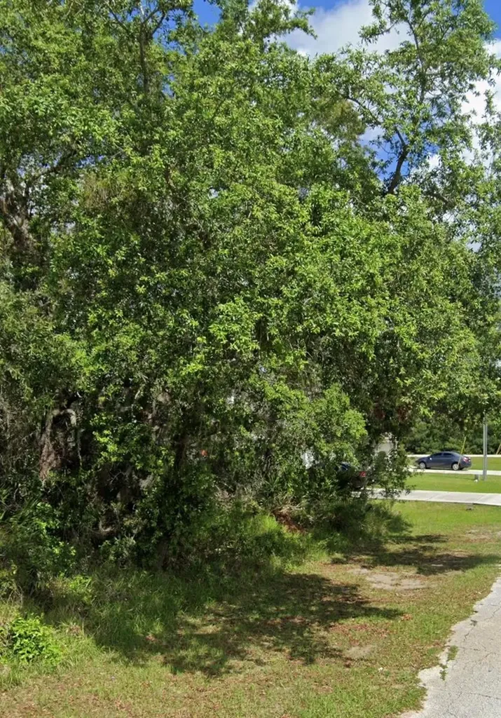 1504 Eloise Court Kissimmee FL 34759