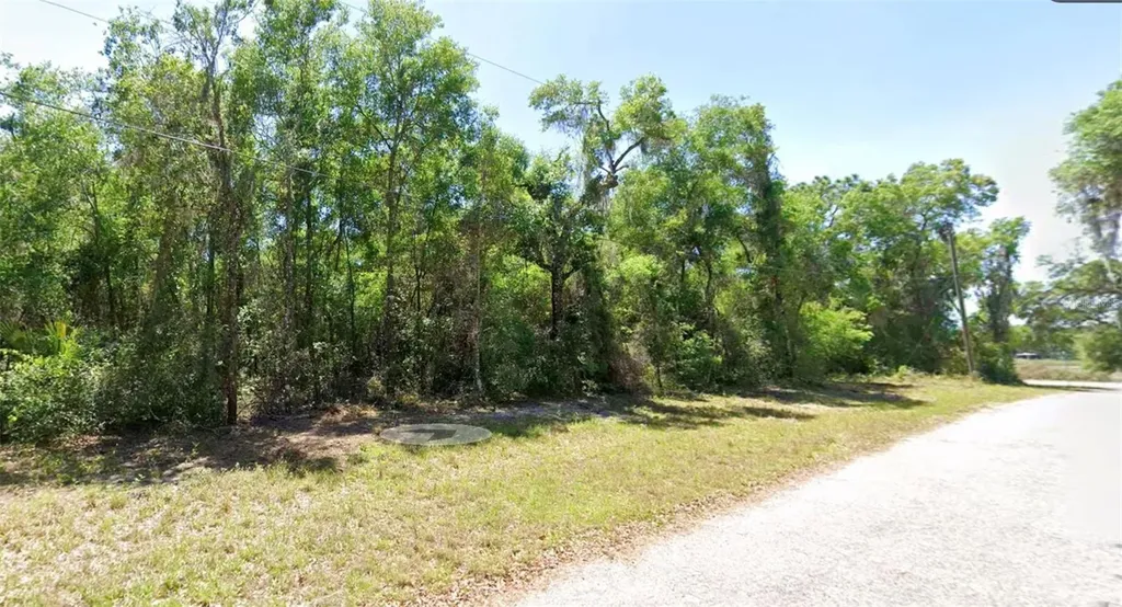 4374 E Mate Lane Hernando FL 34442