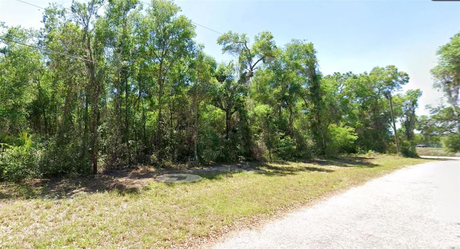 4374 E Mate Lane Hernando FL 34442
