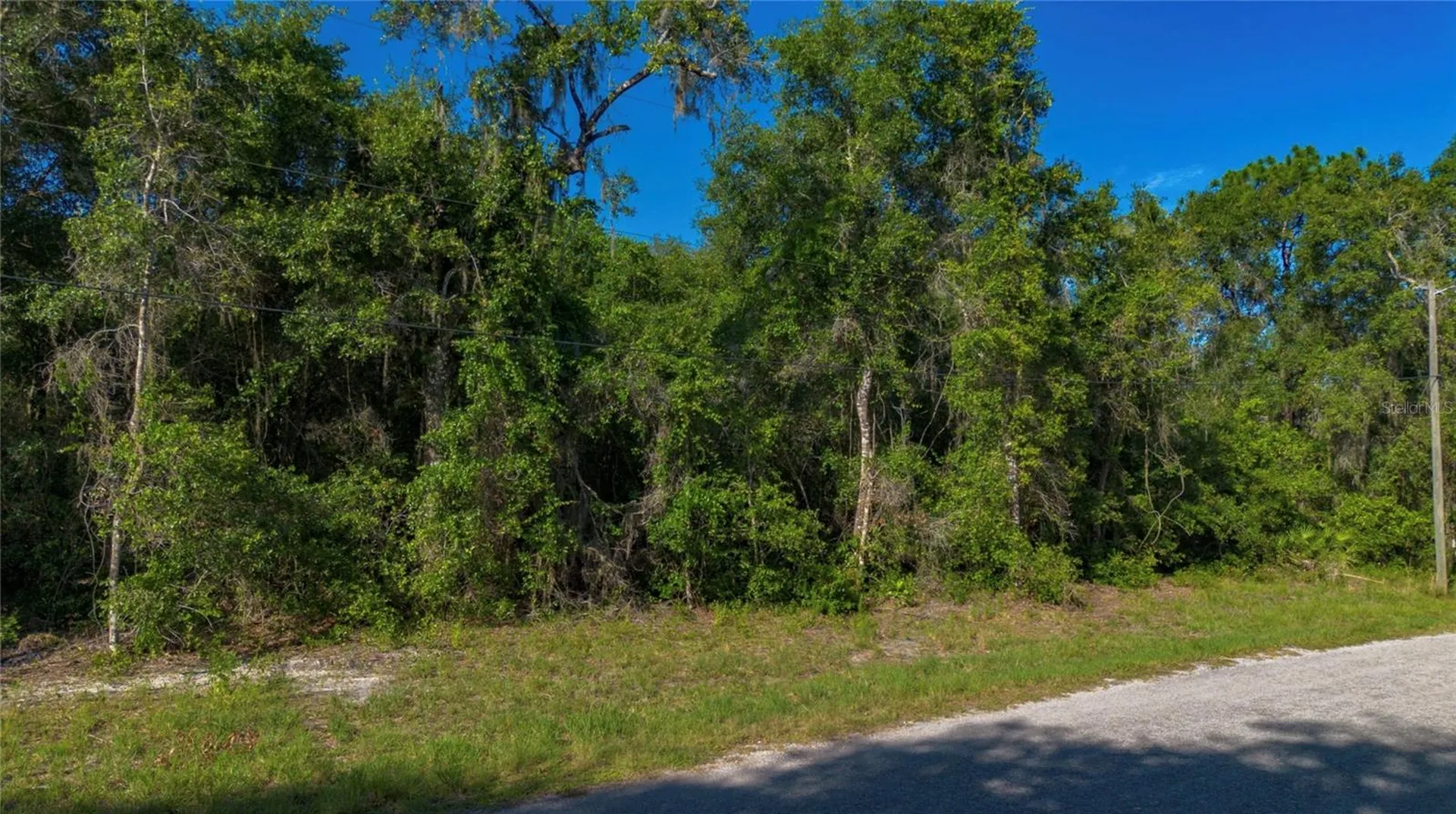 4374 E Mate Lane Hernando FL 34442