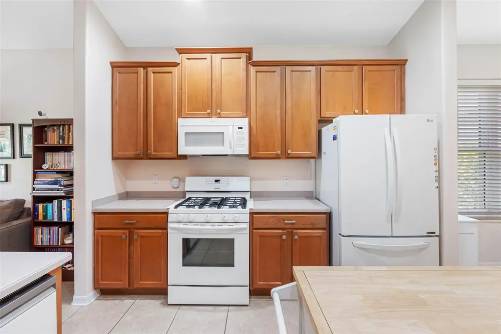5335 Clover Mist Drive Apollo Beach FL 33572