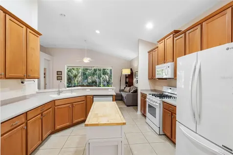 5335 Clover Mist Drive Apollo Beach FL 33572