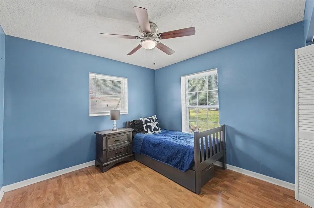 29311 Chandler Trace Wesley Chapel FL 33545