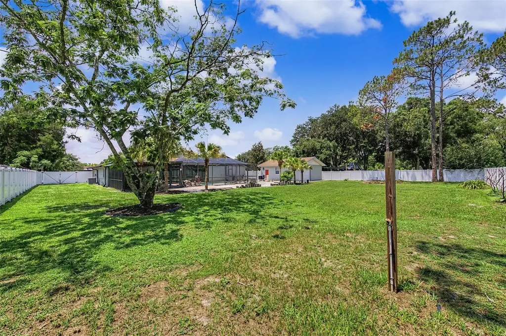29311 Chandler Trace Wesley Chapel FL 33545