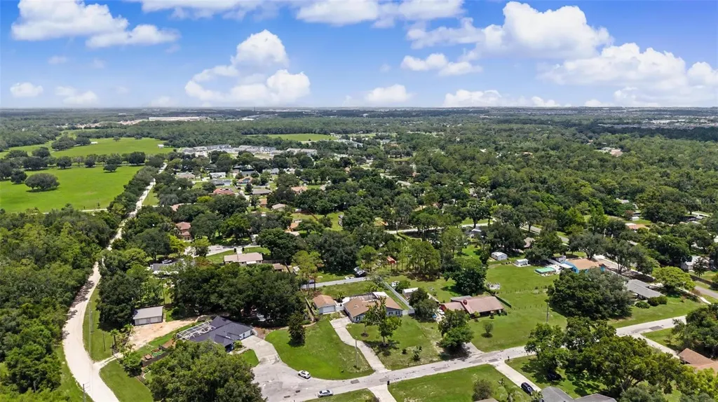 29311 Chandler Trace Wesley Chapel FL 33545