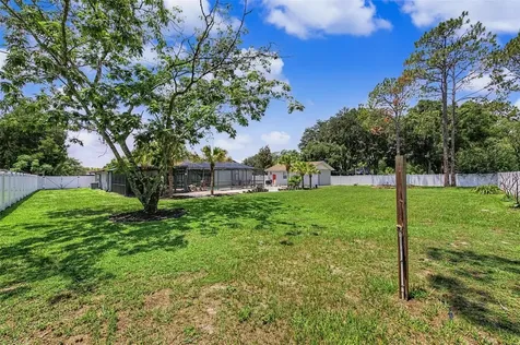 29311 Chandler Trace Wesley Chapel FL 33545