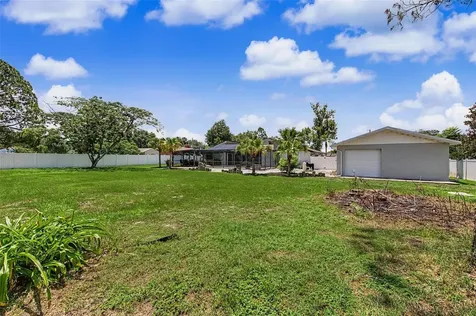 29311 Chandler Trace Wesley Chapel FL 33545