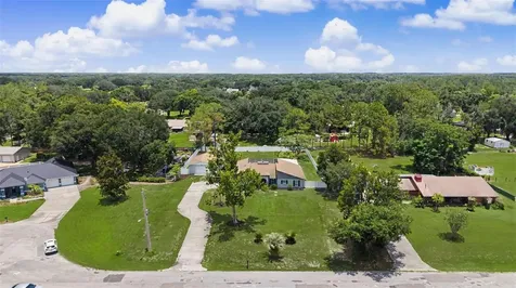 29311 Chandler Trace Wesley Chapel FL 33545